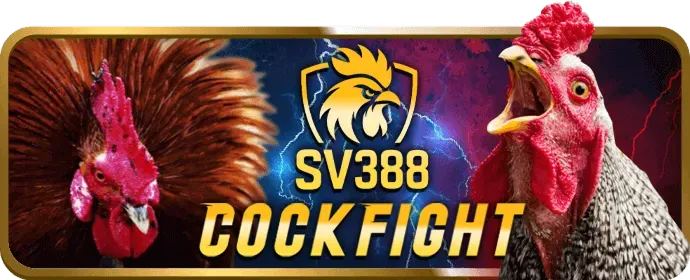 Chương trình VIP và khách hàng thân thiết